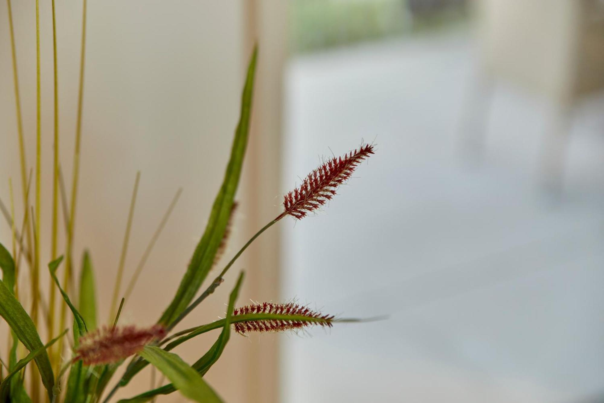 Apartmán Moseltraum Bernkastel-Kues Exteriér fotografie